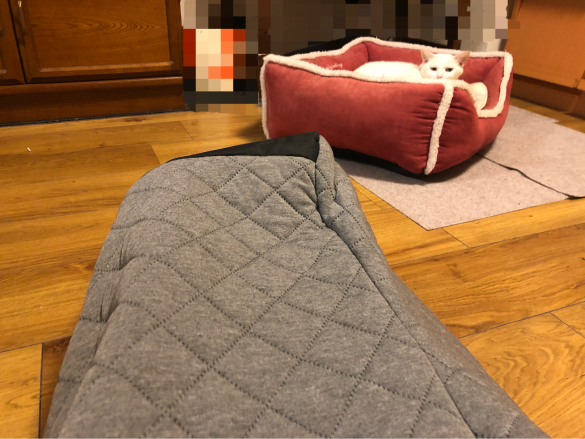 ちなみに猫は逃げました