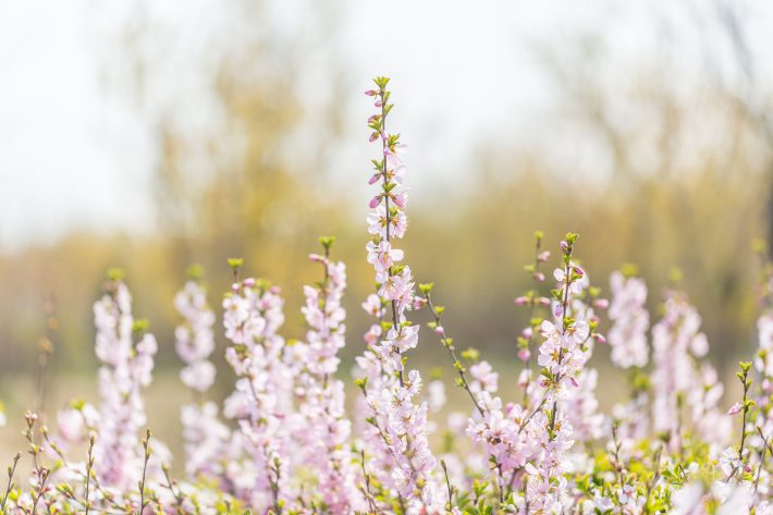 旅立つ夫にかけた最後の言葉