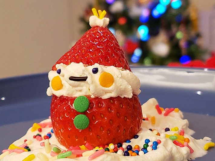 ゆるふわいちごサンタ