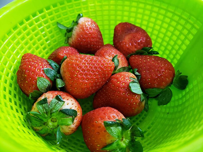 ゆるふわいちごサンタ