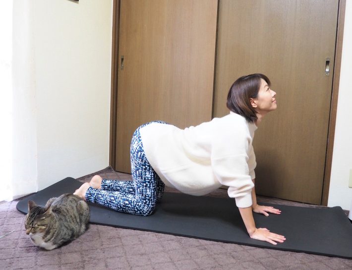 (2)息を吸いながら骨盤を前傾させて背中を反らせ、目線を斜め上に向ける