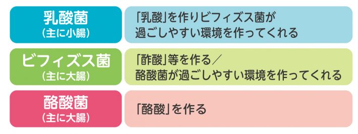 腸内細菌のはたらき