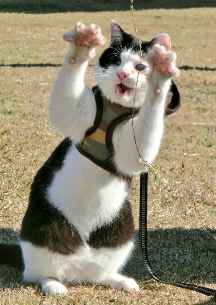 なちさん宅の、ゆとくん