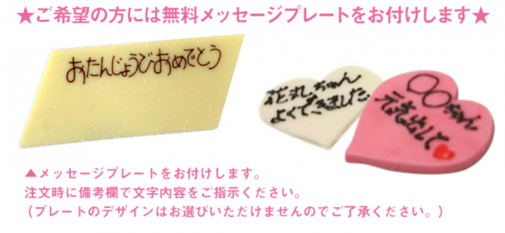 SHINJIにはプレートもつけられる