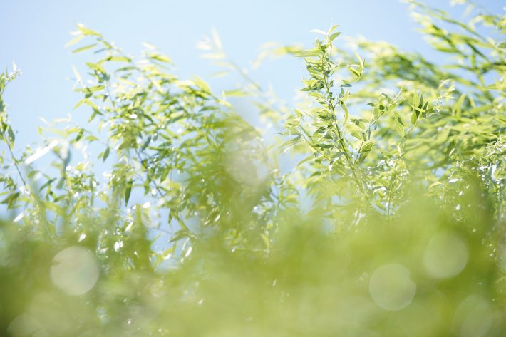 いまこそ“個性を大切にする”時代！