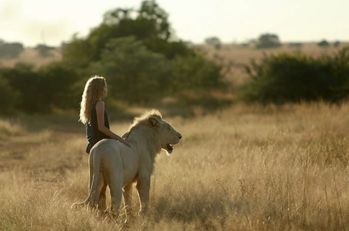 映画『ミアとホワイトライオン 奇跡の1300日』