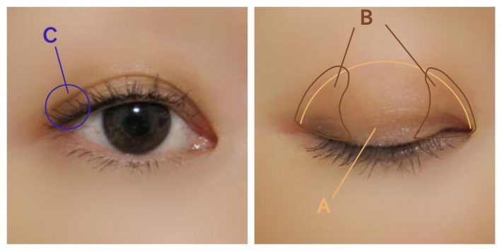 ウチカレ菅野美穂さんメイク・アイメイク