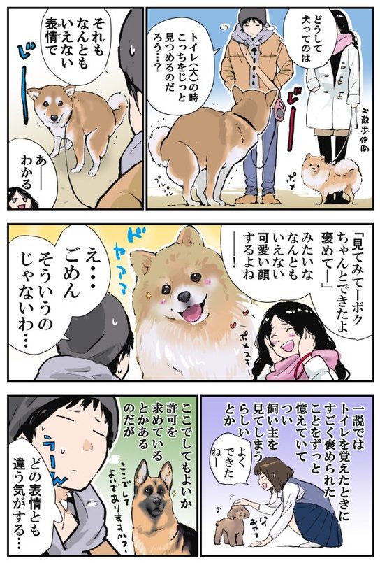 （画像：石原 雄さんTwitter@K5dbZRmjNe77i5r より）