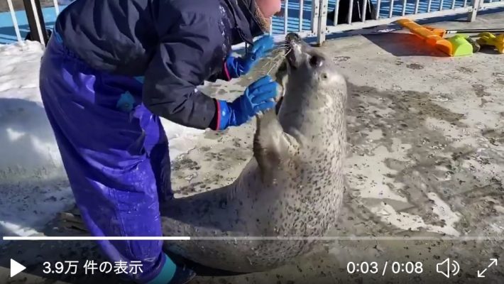 交代してみると…