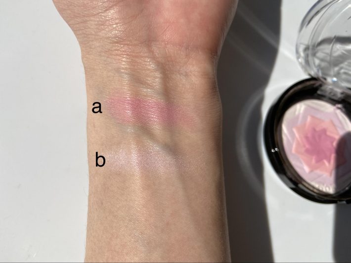 内側2色のチークカラー（a）、外側2色の美肌ハイライト （b）