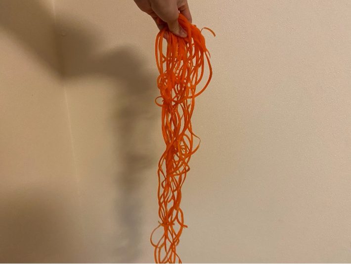 人参1本で40cmほどの長さに