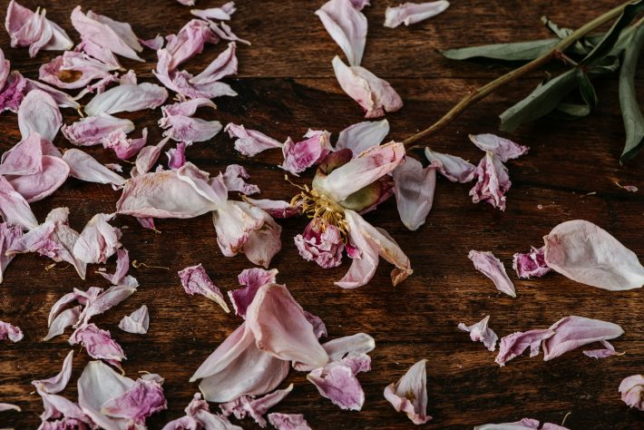 垣間見た息子の闇