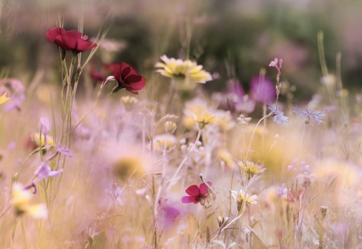 どうやって断るのが正解？