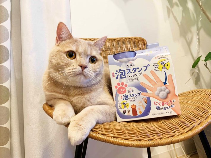 ビオレu泡スタンプハンドソープにくきゅう泡