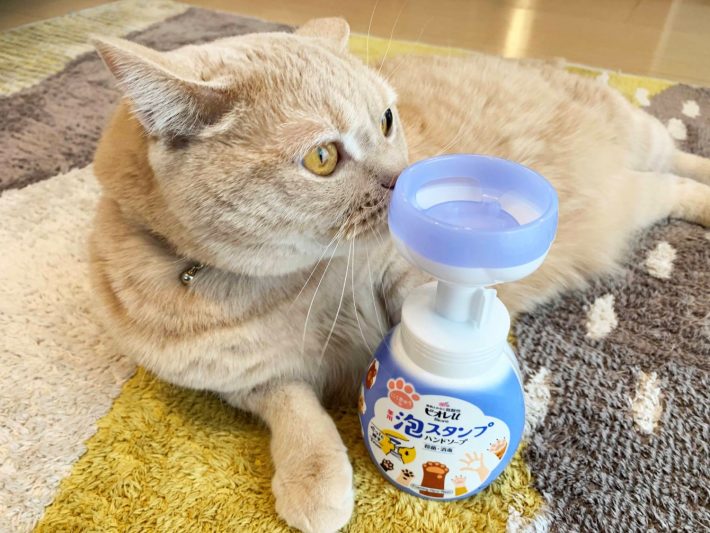 ビオレu 泡スタンプ ハンドソープ にくきゅうで出てくる マイルドシトラスの香セット