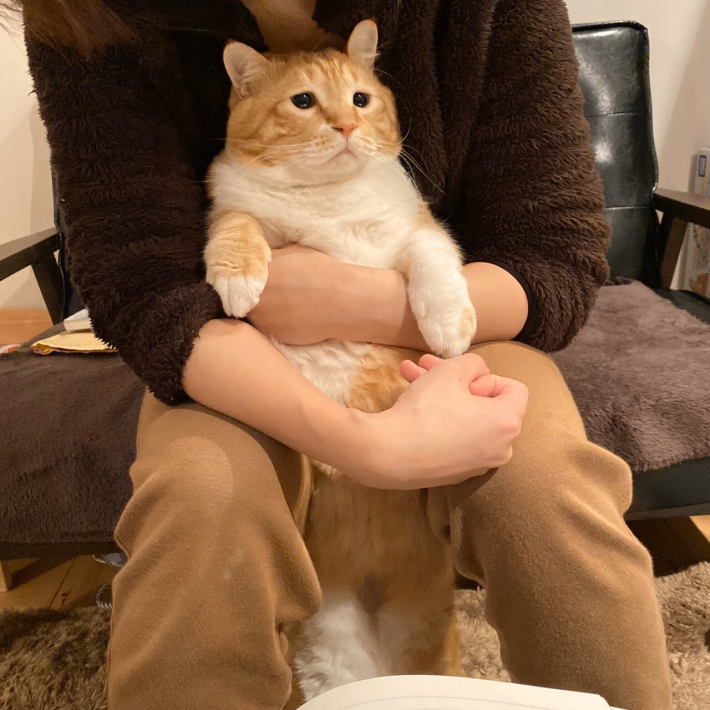 ぐっぴーと飼い主さきともさん