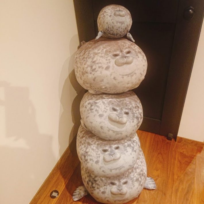 筆者所有の海遊館アザラシのユキちゃんたち