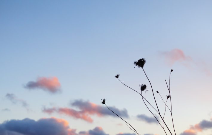 自分にも返ってくる