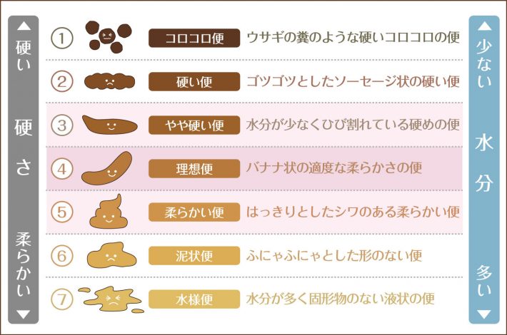 便の診断項目「ブリストルスケール」より
