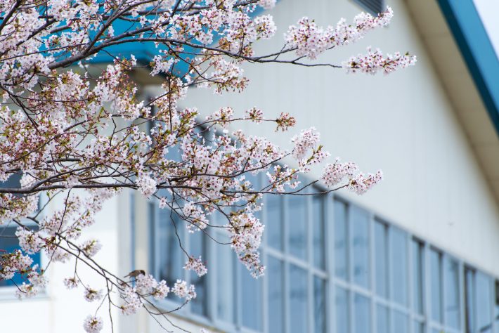 校則よりも生徒の「学ぶ権利」を守るべき