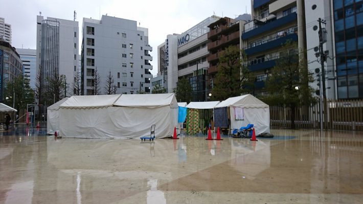 相談者の女性の殆どが暴力の被害者……