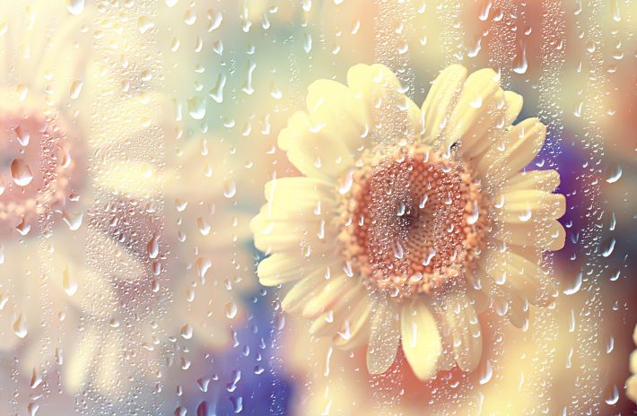 断って不機嫌になるなら別れる