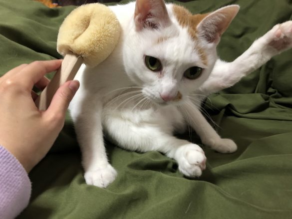 リラックスのあまりあらわな姿に