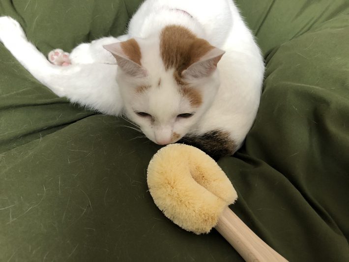 最初はクンクンとニオイをチェク