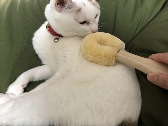 2～3分ほど嗅いでいました