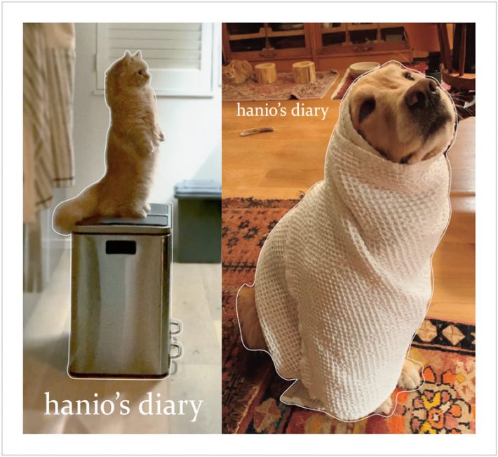 ハニオ日記　シール