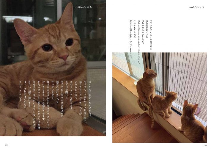 ハニオ日記 II 2018-2019 より