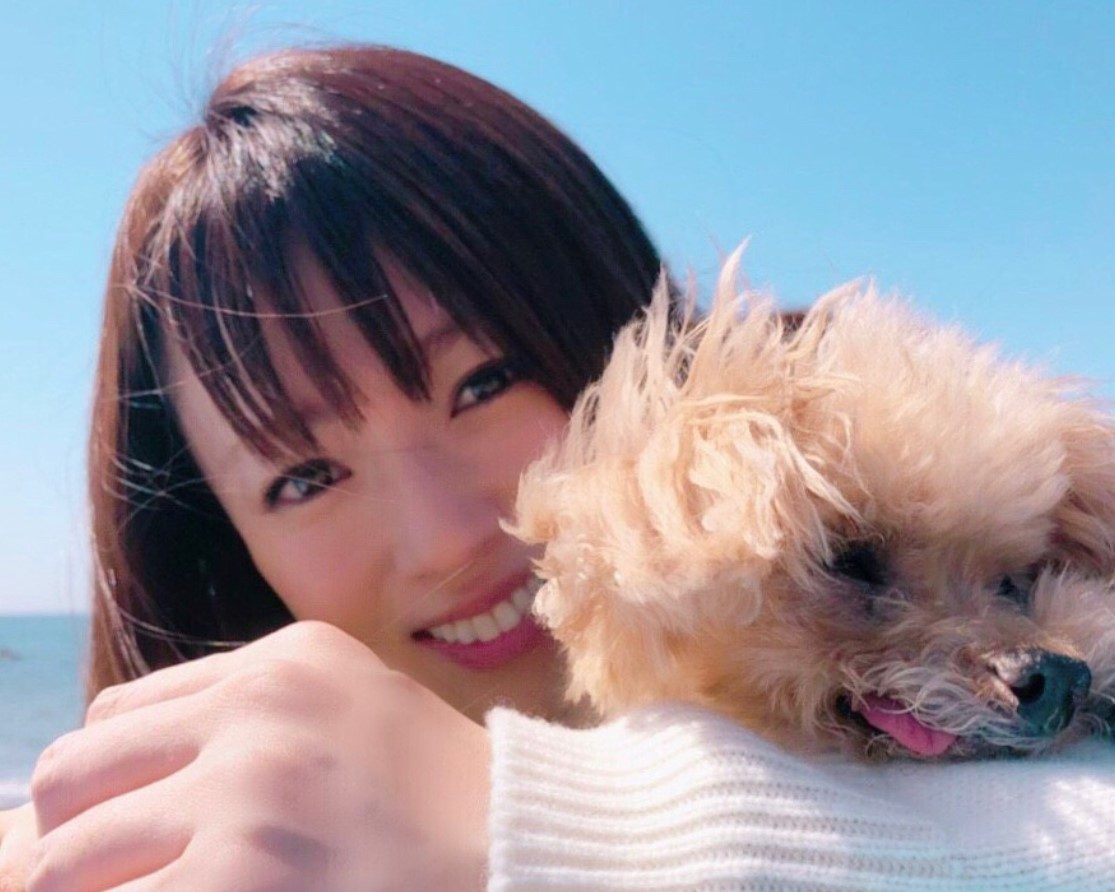 深田恭子に代わって比嘉愛未が新ドラマ主演に 代役で輝いた俳優5選 女子spa