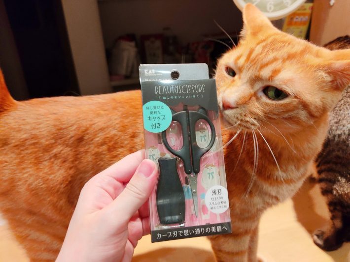 ねこのオシャレハサミ990円（税込）