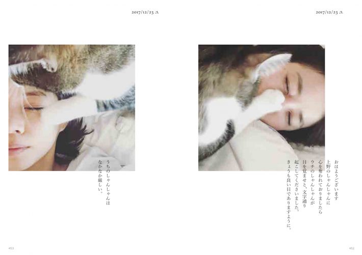 『ハニオ日記 I 2016-2017』より