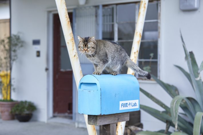 夏への扉場面写真14