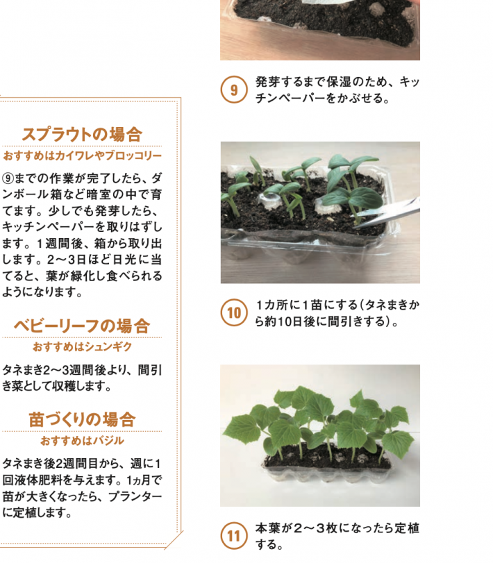 卵のパックがプランター代わりに?! お手軽ミニ家庭菜園のすすめ