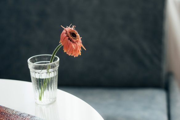 コロナ前と今で虐待の状況は変わらないほど元々が大変