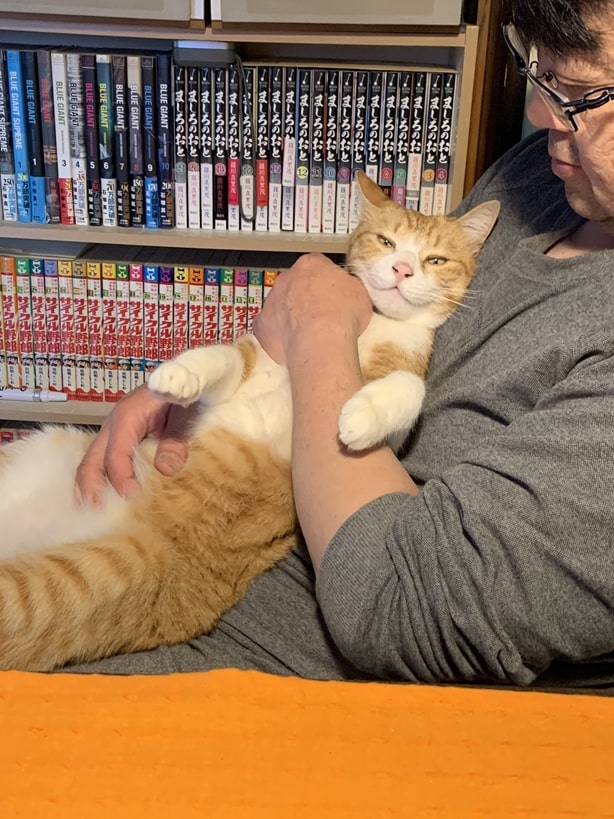 現在のきなこさん