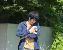 『犬部！』場面写真8