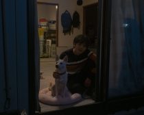 『犬部！』場面写真1