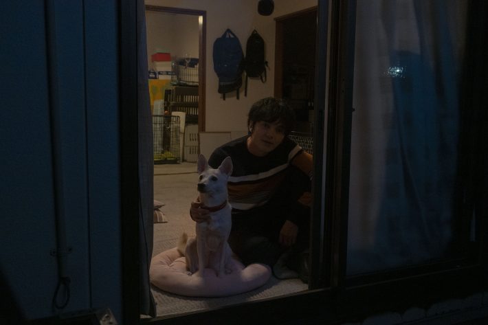 『犬部！』場面写真1