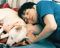 『犬部！』場面写真2