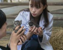 『犬部！』場面写真5