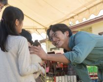 『犬部！』場面写真7