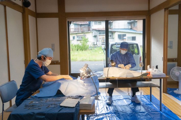 僕は全然強い人間ではない