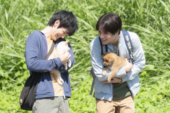 動物虐待、多頭飼育崩壊現場のリアルと、日本の問題点。映画『犬部！』脚本家に聞く
