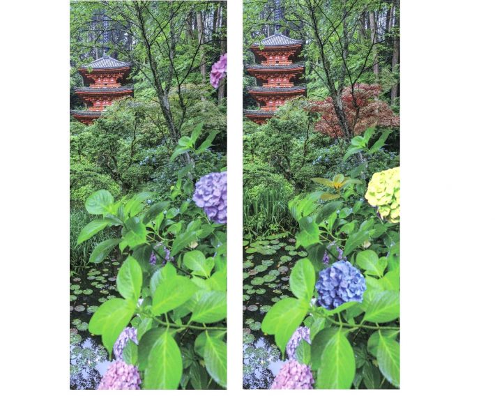 まちがい探し　寺