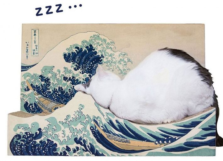 フェリシモ猫部