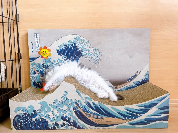 フェリシモ猫部