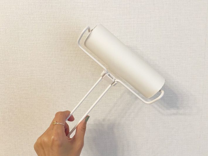 カインズ「ケースが要らない ワイヤーフレーム カーペットクリーナー」